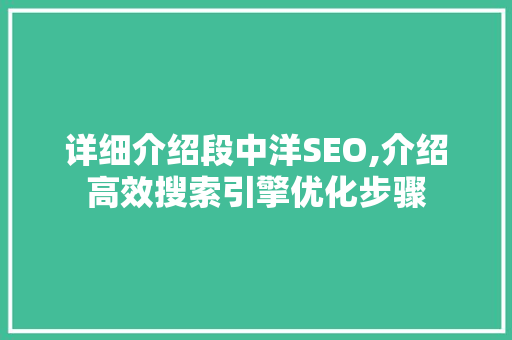 详细介绍段中洋SEO,介绍高效搜索引擎优化步骤