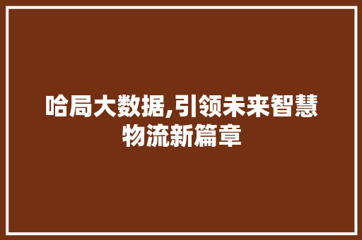 哈局大数据,引领未来智慧物流新篇章 项目报告