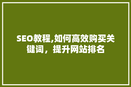 SEO教程,如何高效购买关键词，提升网站排名