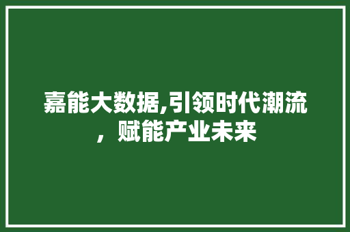 嘉能大数据,引领时代潮流，赋能产业未来 网站建设