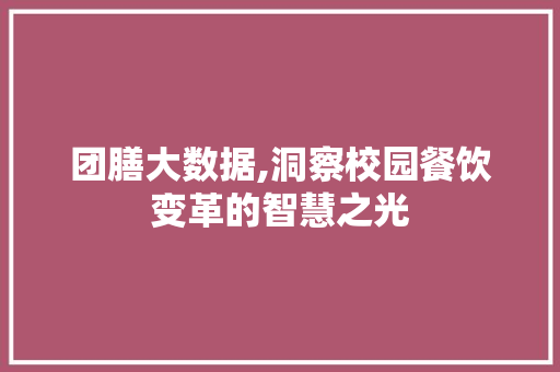团膳大数据,洞察校园餐饮变革的智慧之光 后端技术