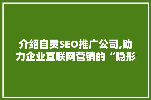 介绍自贡SEO推广公司,助力企业互联网营销的“隐形翅膀”
