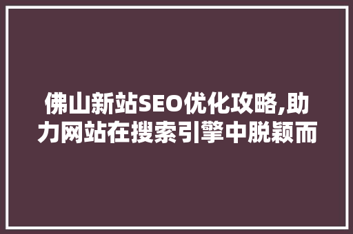 佛山新站SEO优化攻略,助力网站在搜索引擎中脱颖而出