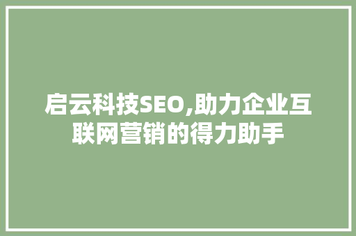 启云科技SEO,助力企业互联网营销的得力助手