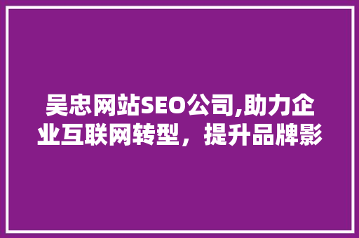 吴忠网站SEO公司,助力企业互联网转型，提升品牌影响力