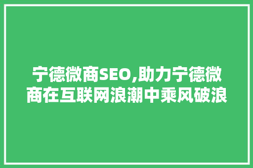 宁德微商SEO,助力宁德微商在互联网浪潮中乘风破浪
