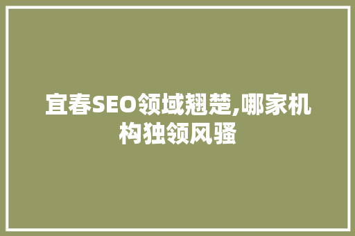 宜春SEO领域翘楚,哪家机构独领风骚