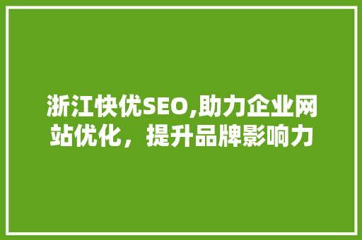 浙江快优SEO,助力企业网站优化，提升品牌影响力