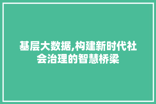 基层大数据,构建新时代社会治理的智慧桥梁