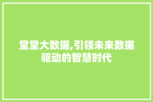 堂堂大数据,引领未来数据驱动的智慧时代
