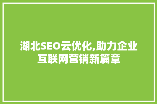 湖北SEO云优化,助力企业互联网营销新篇章