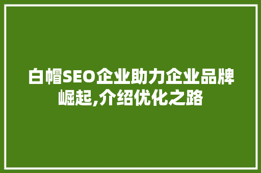 白帽SEO企业助力企业品牌崛起,介绍优化之路