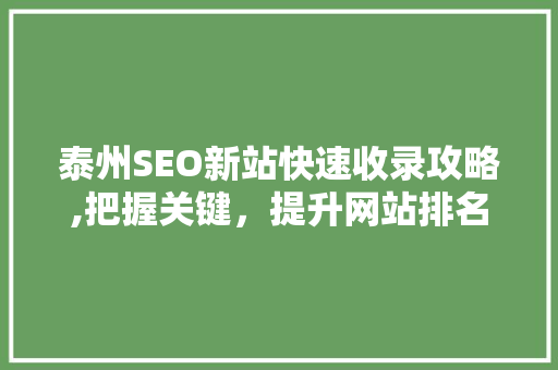 泰州SEO新站快速收录攻略,把握关键，提升网站排名