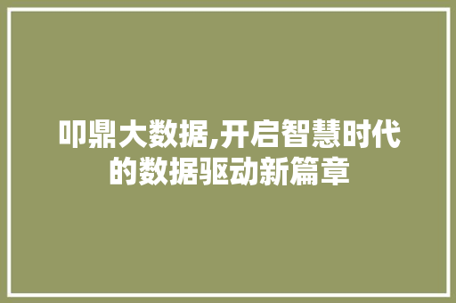 叩鼎大数据,开启智慧时代的数据驱动新篇章 响应式设计