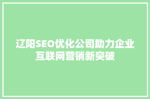 辽阳SEO优化公司助力企业互联网营销新突破
