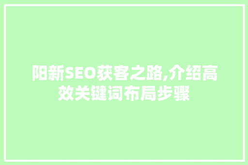 阳新SEO获客之路,介绍高效关键词布局步骤