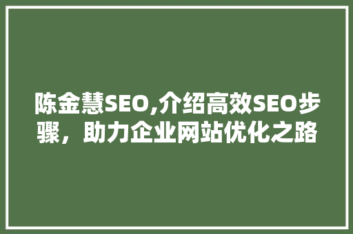 陈金慧SEO,介绍高效SEO步骤，助力企业网站优化之路