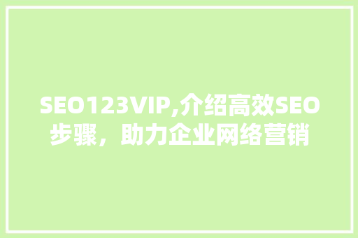 SEO123VIP,介绍高效SEO步骤，助力企业网络营销