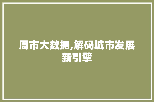 周市大数据,解码城市发展新引擎