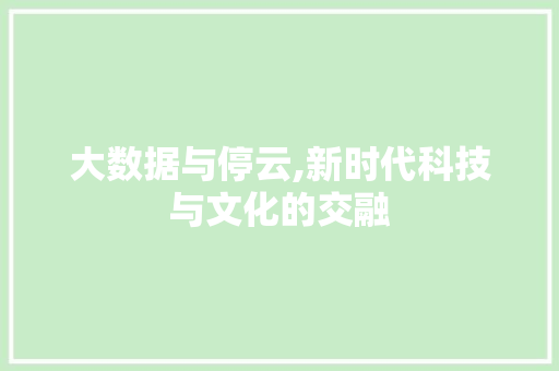 大数据与停云,新时代科技与文化的交融 后端技术