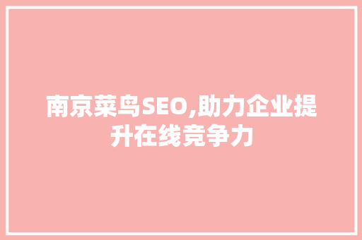 南京菜鸟SEO,助力企业提升在线竞争力