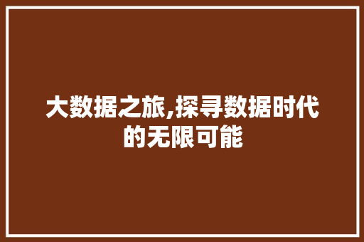 大数据之旅,探寻数据时代的无限可能 网站建设