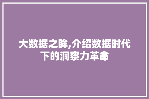 大数据之眸,介绍数据时代下的洞察力革命 前端技术