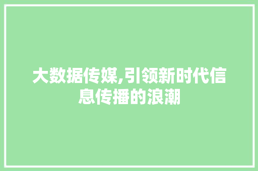 大数据传媒,引领新时代信息传播的浪潮