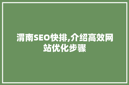 渭南SEO快排,介绍高效网站优化步骤