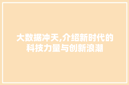 大数据冲天,介绍新时代的科技力量与创新浪潮 项目报告