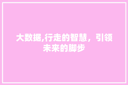 大数据,行走的智慧，引领未来的脚步