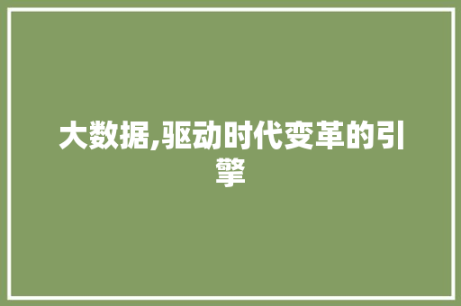 大数据,驱动时代变革的引擎 后端技术
