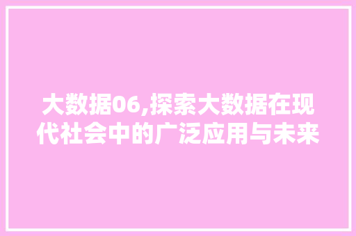 大数据06,探索大数据在现代社会中的广泛应用与未来发展趋势 网站建设
