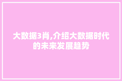 大数据3肖,介绍大数据时代的未来发展趋势