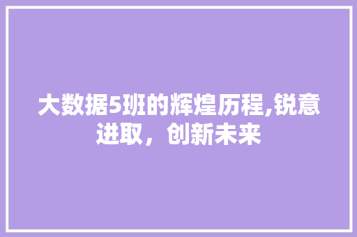 大数据5班的辉煌历程,锐意进取，创新未来 MySQL