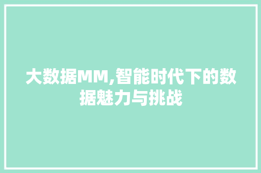 大数据MM,智能时代下的数据魅力与挑战 后端技术