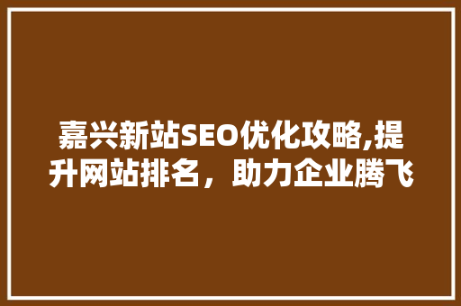嘉兴新站SEO优化攻略,提升网站排名，助力企业腾飞