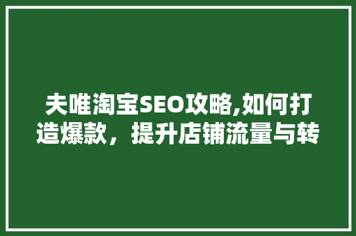 夫唯淘宝SEO攻略,如何打造爆款，提升店铺流量与转化率