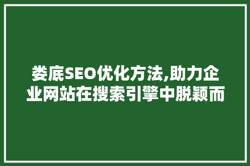娄底SEO优化方法,助力企业网站在搜索引擎中脱颖而出