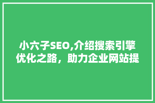 小六子SEO,介绍搜索引擎优化之路，助力企业网站提升排名
