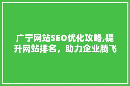 广宁网站SEO优化攻略,提升网站排名，助力企业腾飞