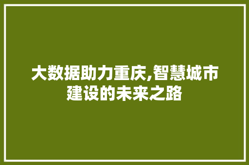 大数据助力重庆,智慧城市建设的未来之路 缓存Redis