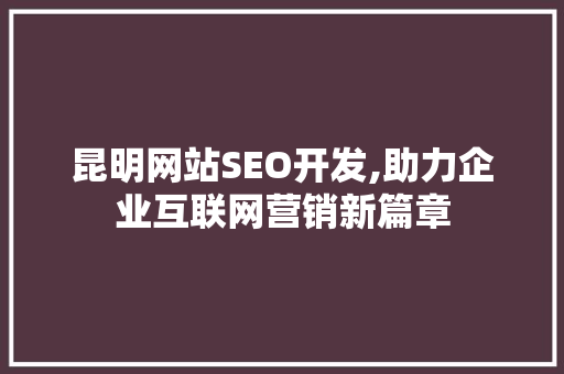 昆明网站SEO开发,助力企业互联网营销新篇章