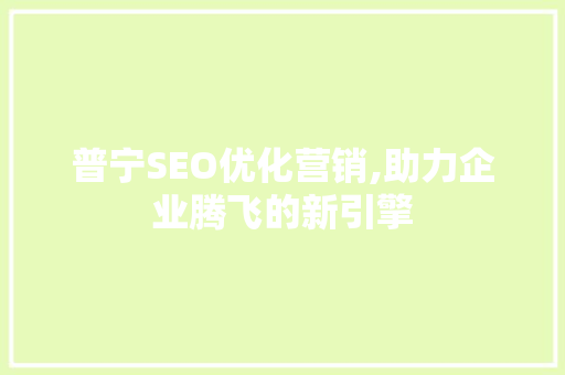普宁SEO优化营销,助力企业腾飞的新引擎