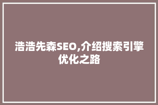 浩浩先森SEO,介绍搜索引擎优化之路
