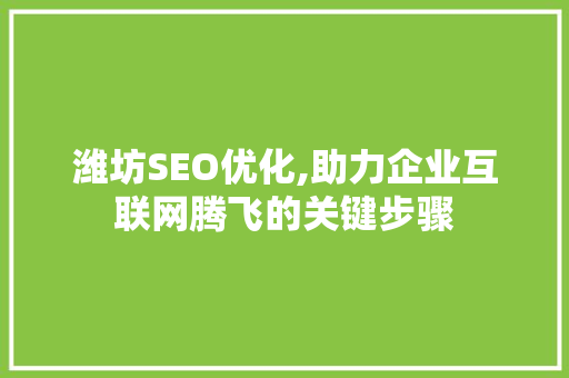 潍坊SEO优化,助力企业互联网腾飞的关键步骤