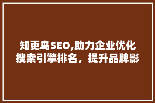 知更鸟SEO,助力企业优化搜索引擎排名，提升品牌影响力