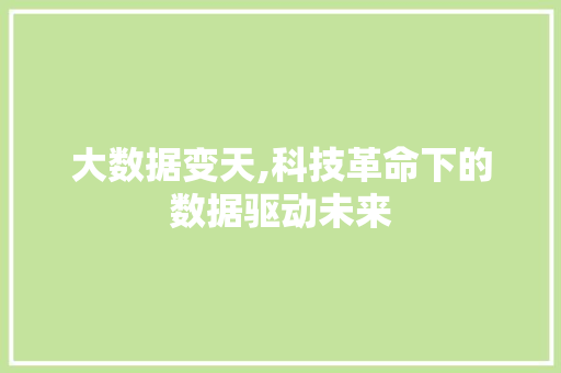 大数据变天,科技革命下的数据驱动未来 前端技术