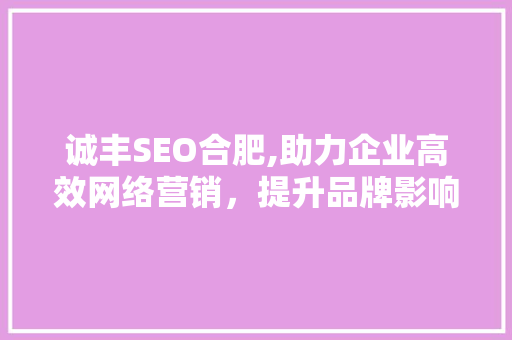 诚丰SEO合肥,助力企业高效网络营销，提升品牌影响力