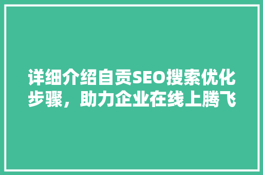 详细介绍自贡SEO搜索优化步骤，助力企业在线上腾飞